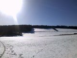 2014-02-01_11-27-43_721.jpg