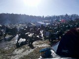 2014-02-01_11-53-09_999.jpg